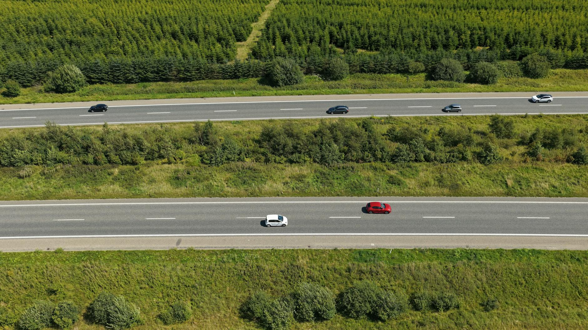 Samochody na zielonej duńskiej autostradzie w słoneczny dzień